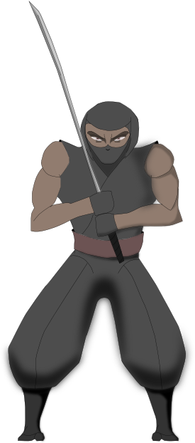Ninja 1