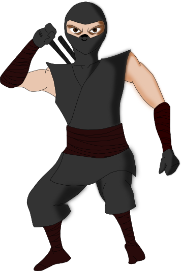 Ninja 2