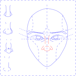 Nose