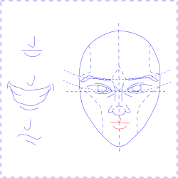 Mouth and Lips
