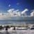 Black Sea, on the coast of Batumi, Georgia