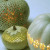 Intricate lace design for pumpkins! Source: MarthaStewart.com. See link below for directions.