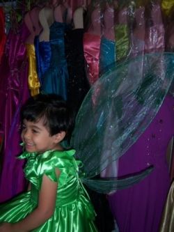 Tinkerbell Wings