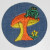 Mushroom, frog, and daisy on denim patch. All cool signs of the seventies, man.