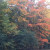 Gatineau park forest in fall Gatineau park forest in fall
