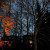 Orange branch in the evening Orange branch in the evening