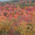 Champlain lookout in fall - Gatineau Park Champlain lookout in fall - Gatineau Park