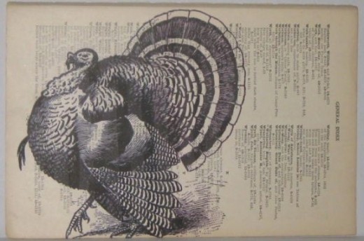 Let's talk turkey.