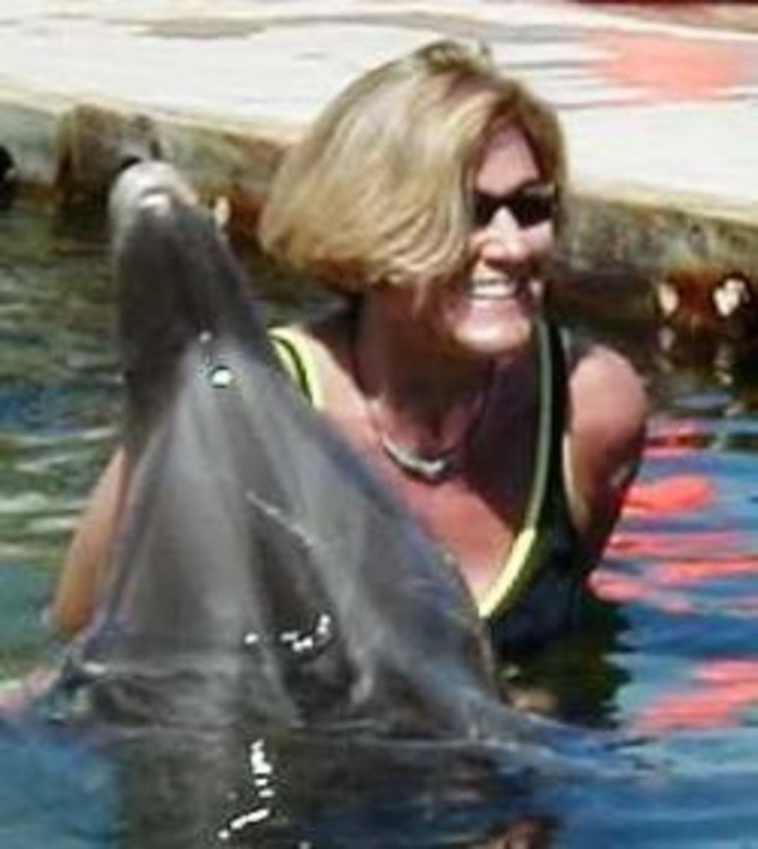 This was a dolphin encounter in captivity.  Note the dirty concrete in the background?  