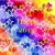Happy New Year Happy New Year