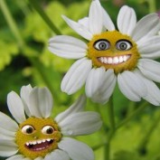 MothersDayFlowe profile image