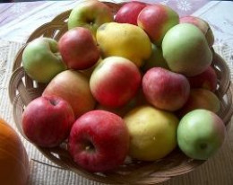 apples by kightp