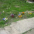 My first tell tale sign.
Flowers placed here as a memorial site. My first tell tale sign.Flowers placed here as a memorial site.
