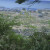 Looking over at empty lots in the Kadonowakicho and Minamihamacho areas. Looking over at empty lots in the Kadonowakicho and Minamihamacho areas.