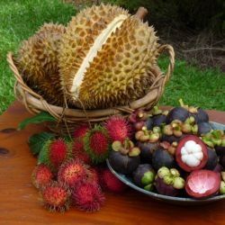 Exotic Tropical Fruit