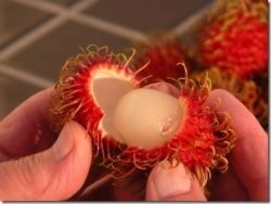 Rambuten