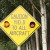 "Caution, Yield to All Aircraft" This road sign made me laugh! "Caution, Yield to All Aircraft" This road sign made me laugh!