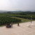 A view if the beautiful vineyards outside. A view if the beautiful vineyards outside.