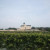 The Vineyards surrounds the Winery. The Vineyards surrounds the Winery.