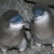 Penguin Chicks