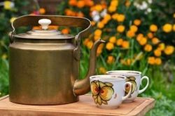Cup of dandelion tea in the garden
