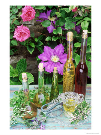 Oilive Oil flavoured with herbs