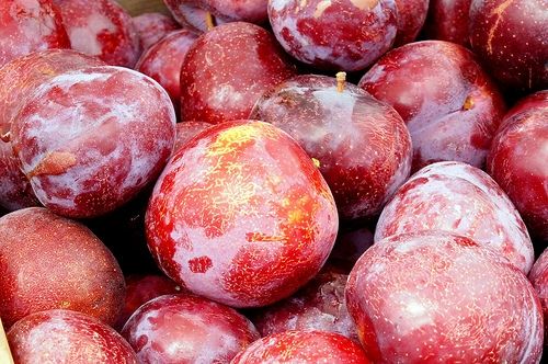 Plums at Alemany Farmers' Market