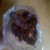 Some tamarind paste contains seeds and fibres, while others are pure pulp. Both types can be used in this recipe. Some tamarind paste contains seeds and fibres, while others are pure pulp. Both types can be used in this recipe.