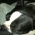 Sleeping Sleeping