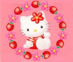 hellokittyfan.com