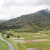 The Hanalei Valley  
