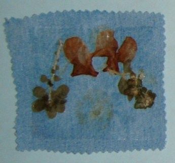 Coaster with clover leaves and petals