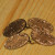 Edwardian(?) chased gilt double-oval links Edwardian(?) chased gilt double-oval links