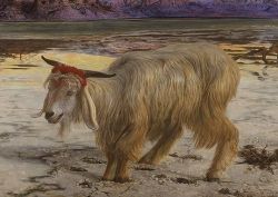 the scapegoat