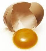 egg yolk