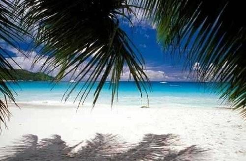White Sand Beach Wall Decal