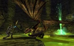 Dungeons and Dragons Online Dungeons and Dragons Online