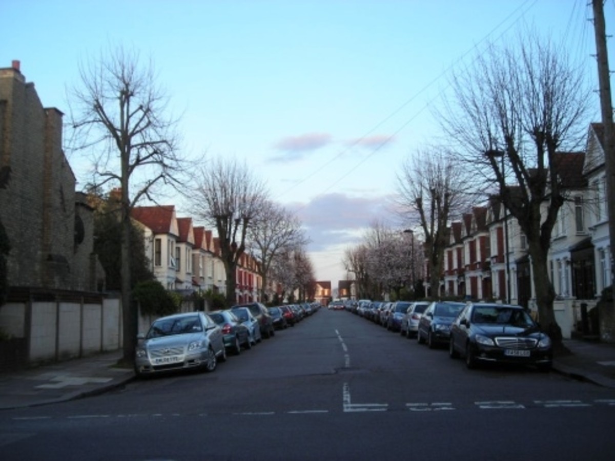A Street of Pollarded Trees at Dusk in London