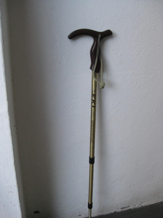 Here's my LEKI trekking pole, like the one I recommend above