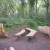 The story-telling place. Sit on the 'telling seat' and mesmerise your young listeners with a magical tale. The story-telling place. Sit on the 'telling seat' and mesmerise your young listeners with a magical tale.