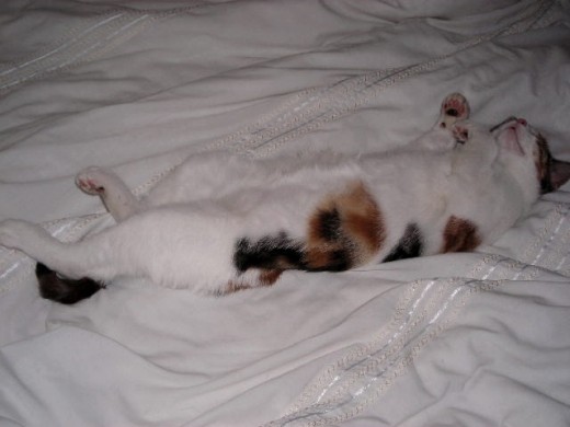 Me reclining on the bed - I'm quite tall when I'm all stretched out