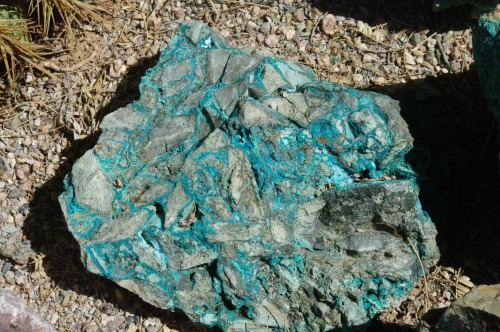 Copper ore. This is from the edge of a deposit and not worth processing.