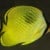 Latticed Butterflyfish - Chaetodon rafflesi.