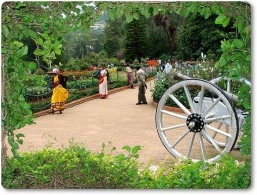 Ooty Botanical Gardens