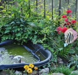 How to Build a Garden Pond