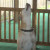 Standing Tall for a Treat! Standing Tall for a Treat!
