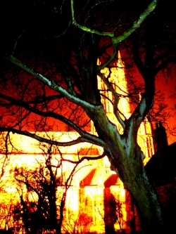 Lincoln Cathedral at Night 