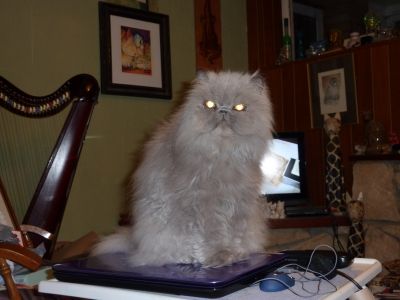 Become Computer Savvy