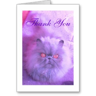 If you enjoyed browsing through my Persian pictures, why not follow the link to my Zazzle store where you can see more cat themed cards and gifts and explore gifts you can personalize.