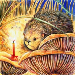 Cute Cartoon Hedgehog Gifts Cards and Calendars